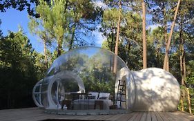 Les Bulles De Bordeaux